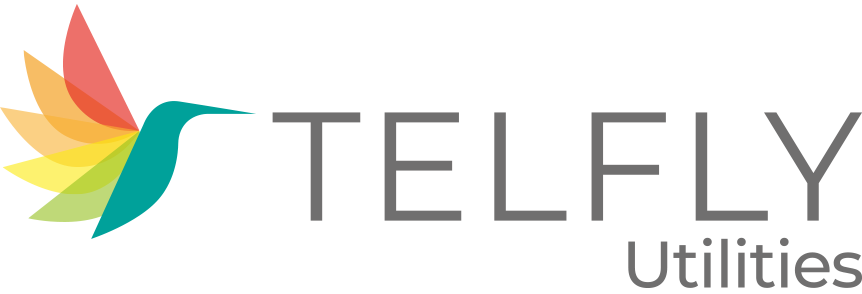 Telfly-logo-colibri